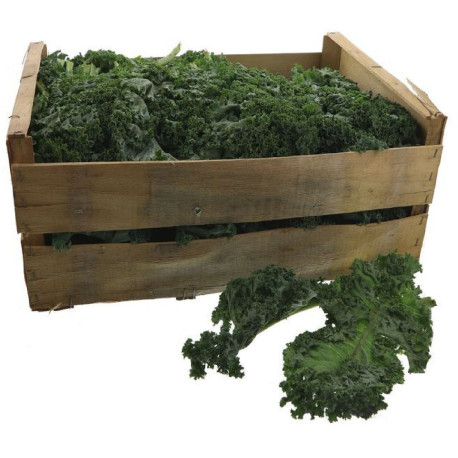 CHOU VERT FRISE KG